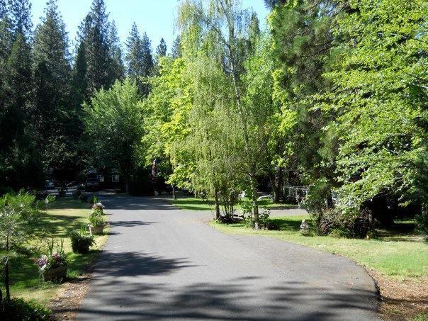 Gables Cedar Creek Inn Twain Harte Экстерьер фото